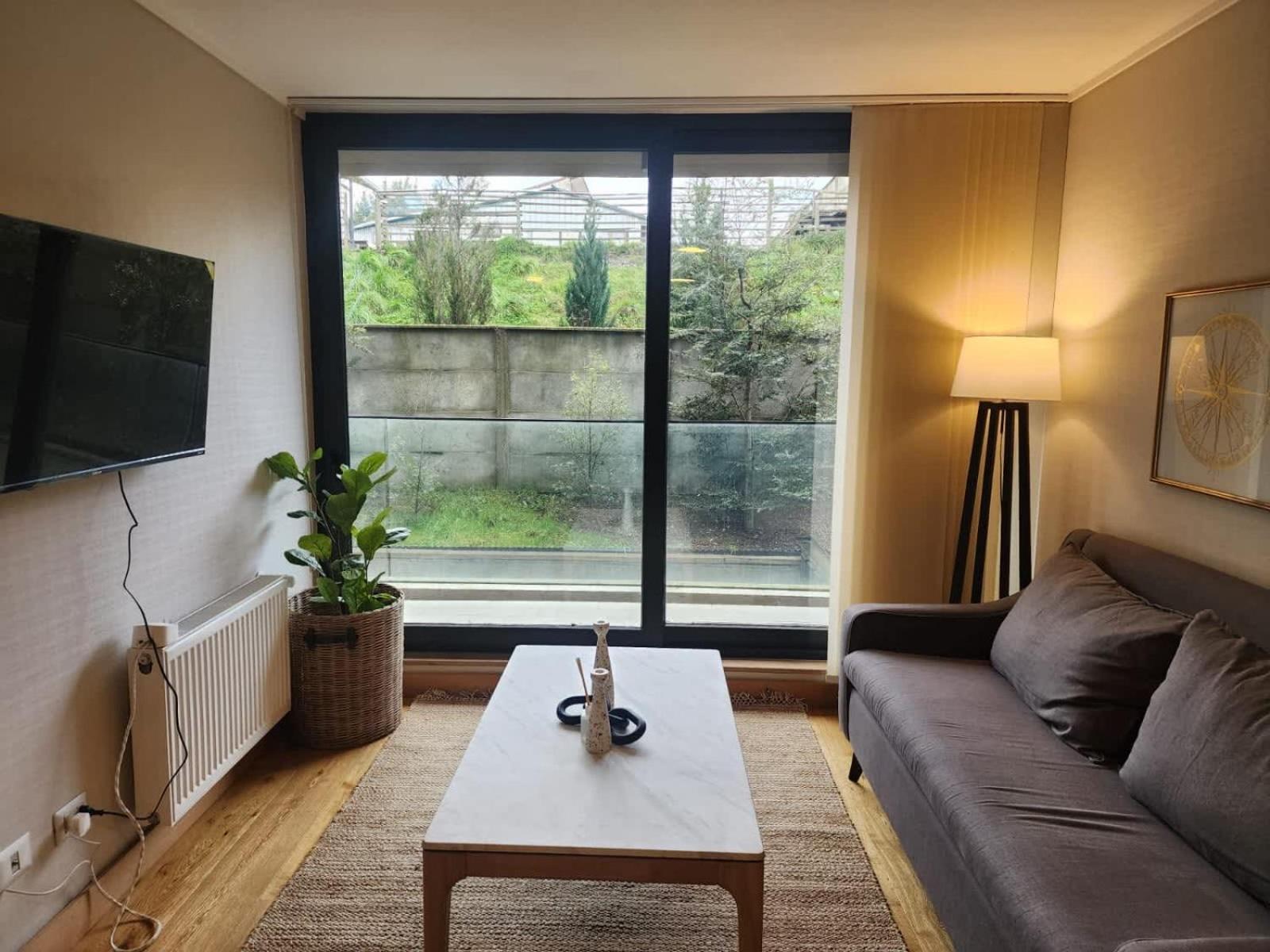 Hom I Nuevo Dpto 1d1b De Lujo Y Piscina Temp Apartamento